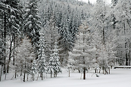 エルツ山地の雪景色